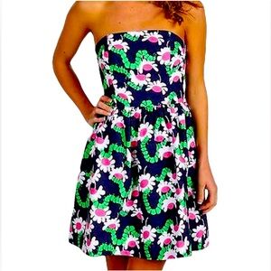 Lilly Pulitzer Lottie Dress in Yum Yum SZ 00